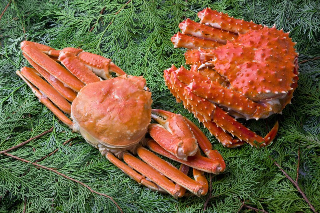 snow crab vs king crab