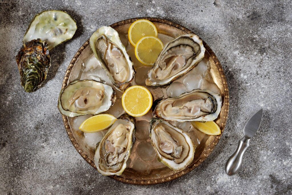 oyster guide for beginners