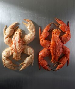 buy flash frozen crab legs vs fresh